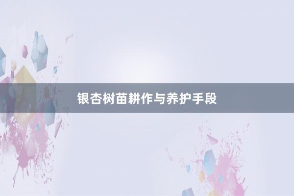 银杏树苗耕作与养护手段